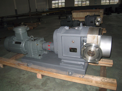 普利施65PLST6-10 日用化工轉(zhuǎn)子泵,甘油、化妝品料漿輸送泵 價格優(yōu)惠歡迎咨詢圖片_高清圖_細(xì)節(jié)圖-江蘇普利施泵業(yè) -